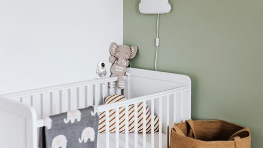 Your 5-Month-Old's Growth and Development: Milestones and Tips